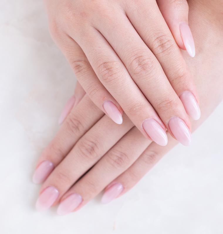 ハンドメニューの写真